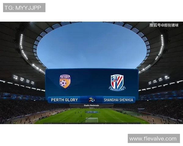 珀斯对阵申花精彩直播全程回顾与赛后分析尽在这里