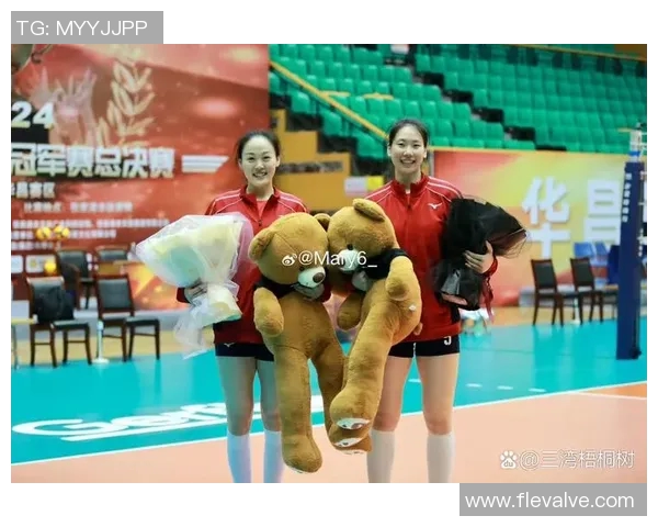 江苏女排对阵河南女排精彩比赛视频回顾与分析