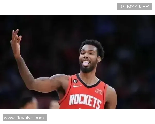 2014年火箭与灰熊激战回顾:经典对决中的精彩瞬间与战术分析