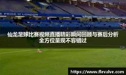 仙龙足球比赛视频直播精彩瞬间回顾与赛后分析全方位呈现不容错过