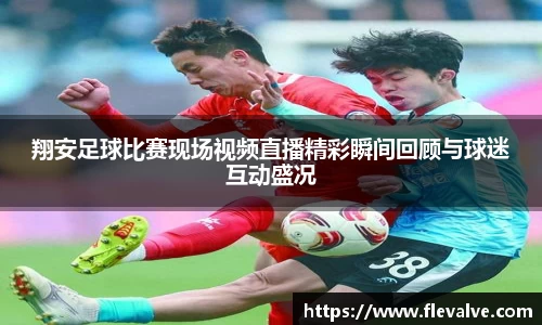 翔安足球比赛现场视频直播精彩瞬间回顾与球迷互动盛况