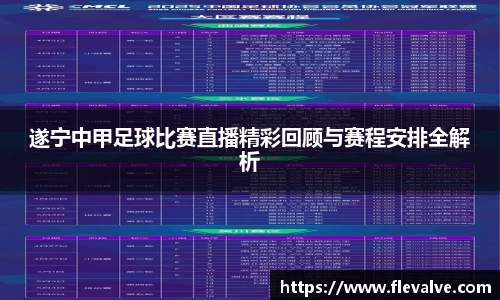 遂宁中甲足球比赛直播精彩回顾与赛程安排全解析