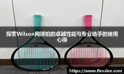 探索Wilson网球拍的卓越性能与专业选手的使用心得