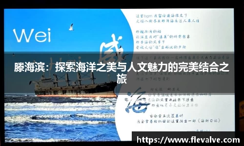 滕海滨：探索海洋之美与人文魅力的完美结合之旅