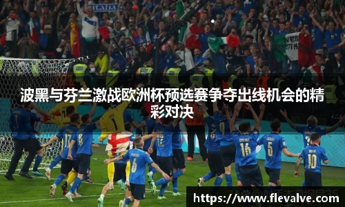 波黑与芬兰激战欧洲杯预选赛争夺出线机会的精彩对决