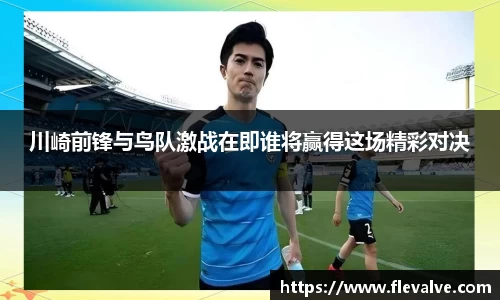 川崎前锋与鸟队激战在即谁将赢得这场精彩对决