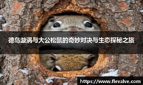 德岛漩涡与大公松鼠的奇妙对决与生态探秘之旅
