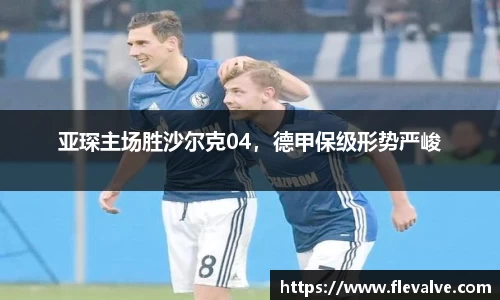 亚琛主场胜沙尔克04，德甲保级形势严峻